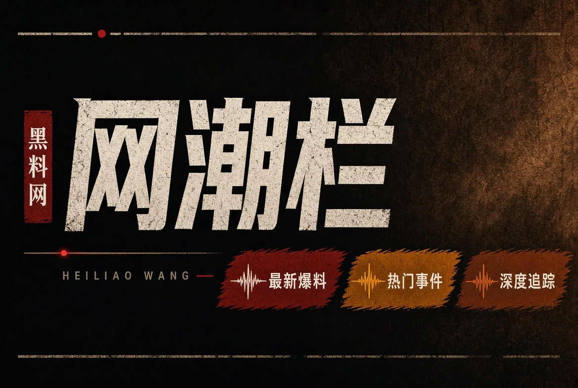 网浪栏：追的是传播结构，不是情绪浪头